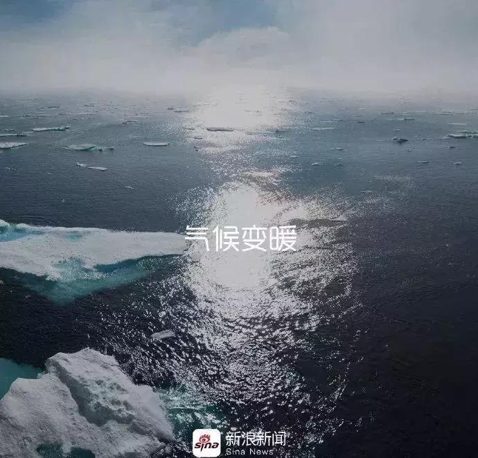 6招教你玩转新媒体营销,六月营销热点大全