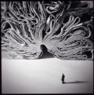 哪款iphone拍出来的照片更好看,苹果年度最佳照片