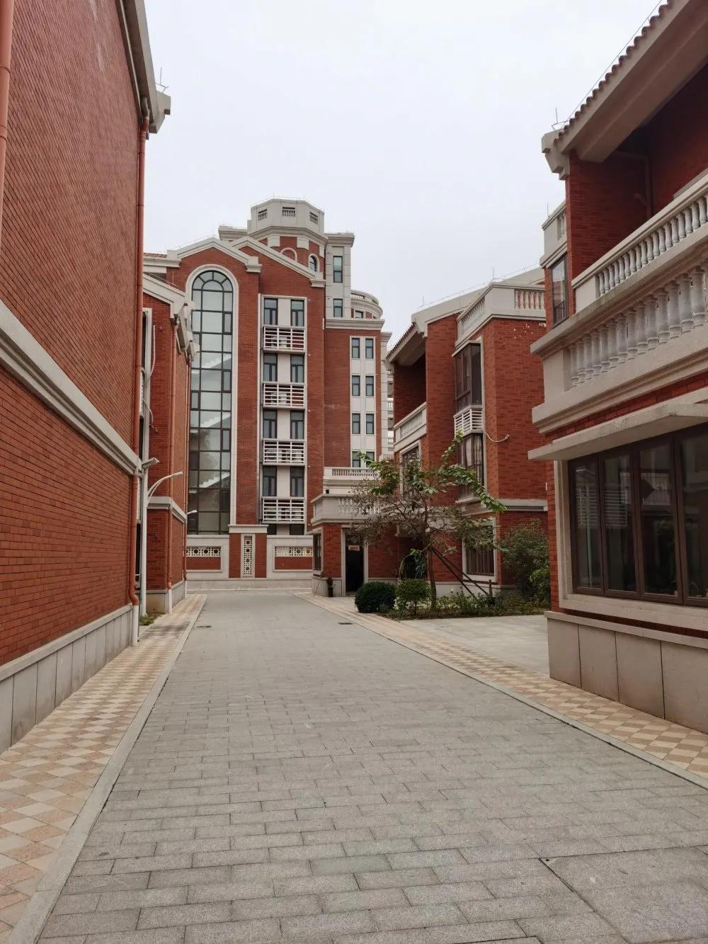 吴川一老先生归乡游玩，抒发家乡社会主义新农村建设有感