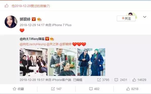 郭碧婷和向佐怎么谈恋爱,郭碧婷和向佐谈了多久恋爱啊