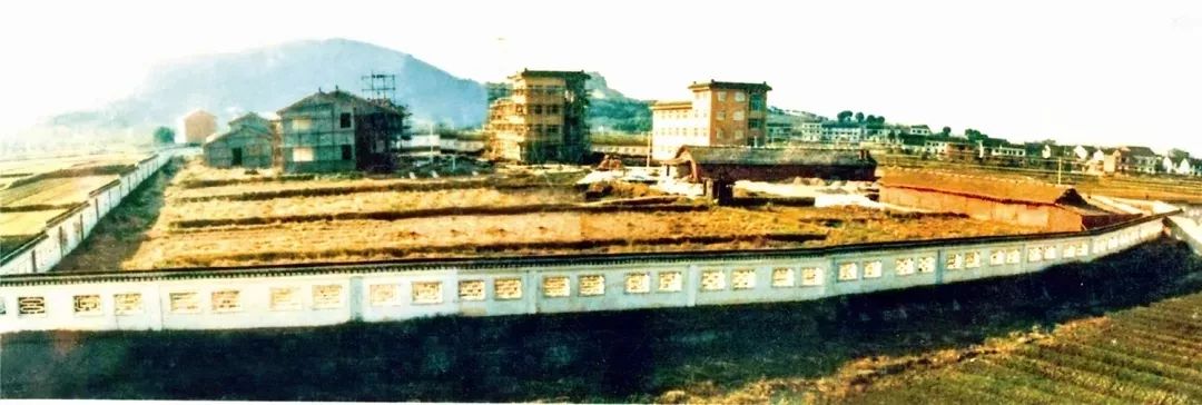 又被张家港圈粉了