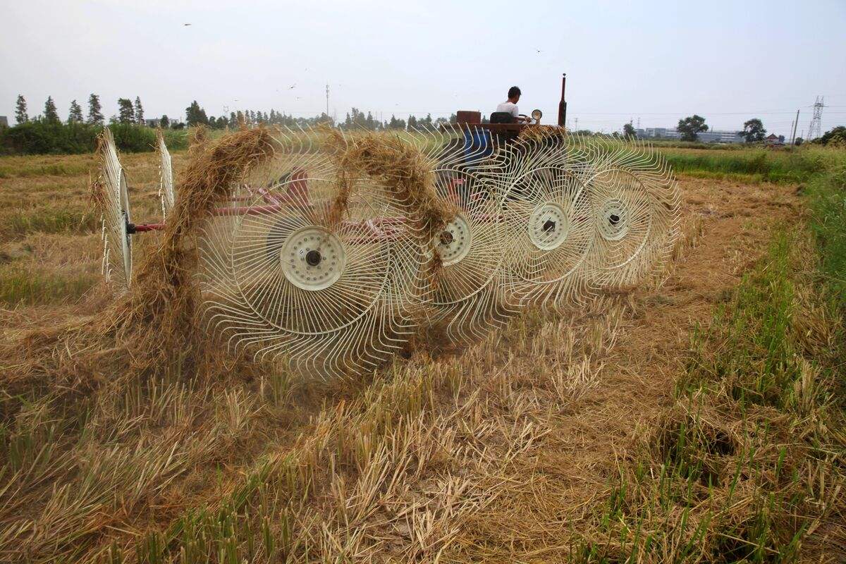 农民种地钱被骗怎么办,农民种地被骗怎么处理