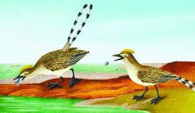 光源转变历史,人类照明历程