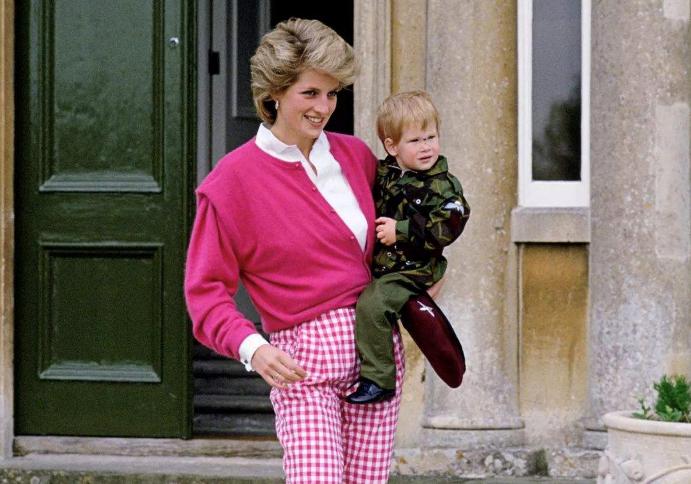 戴安娜母亲教育孩子,戴安娜是个好母亲吗