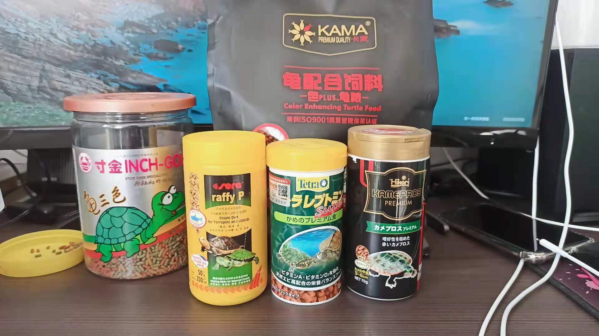 黄缘龟闭壳怎么办,黄缘闭壳龟经营方法