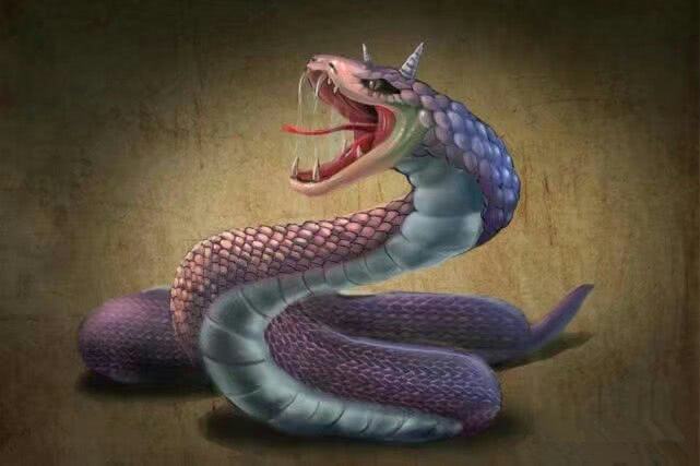 中国古神话各种龙,古代神话龙的来历