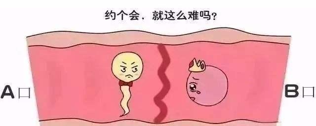 先天性输卵管堵塞可以手术吗,输卵管堵塞是试管还是中医调理