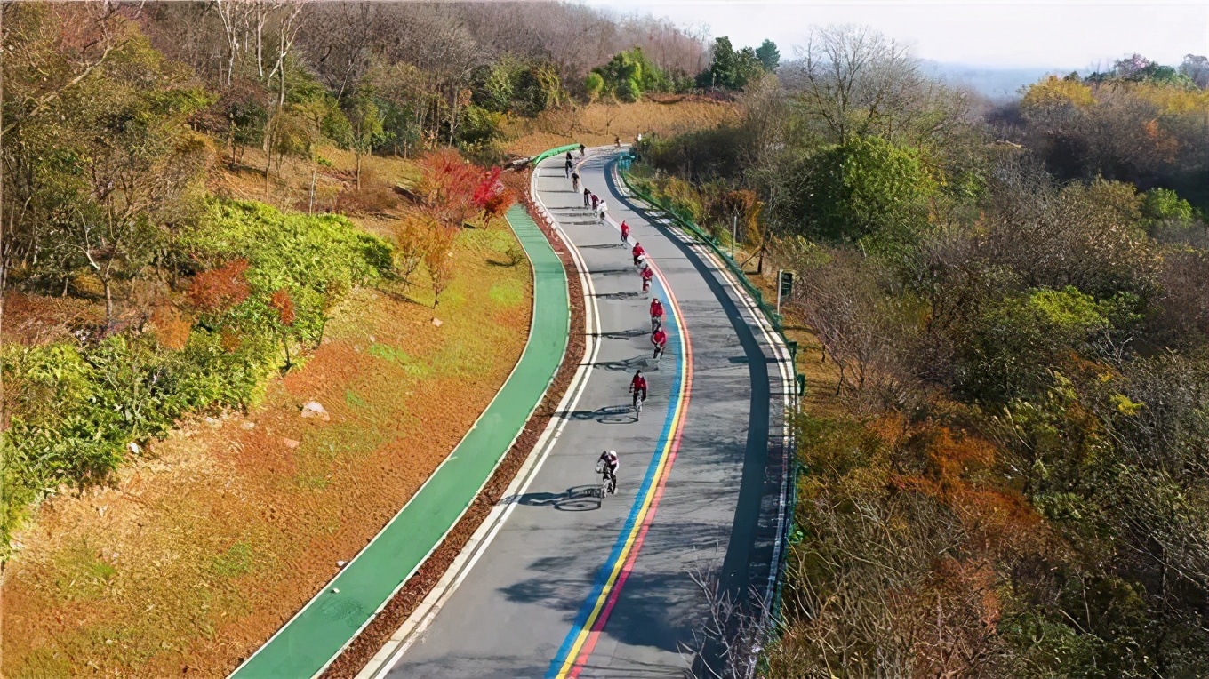 藏不住了这片樱花林免门票免预约,藏不住的傅先生