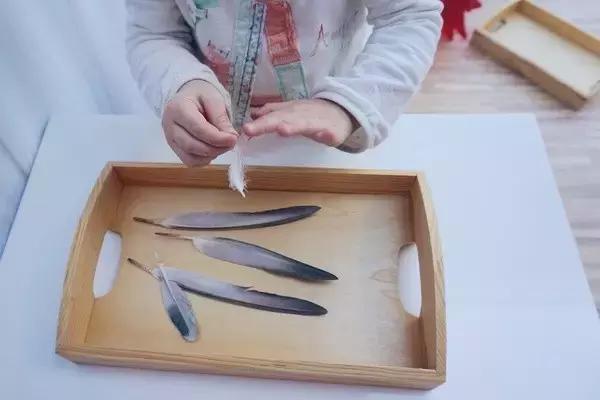 7-12月宝宝蒙氏亲子游戏,100个经典蒙氏小游戏总结