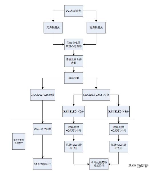 心房颤动的抗凝药物,心房颤动的抗凝治疗策略