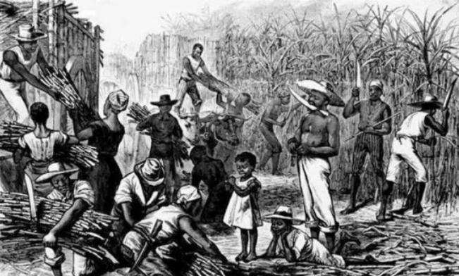 南非少女巴特曼照片,南非少女萨拉·巴特曼照片