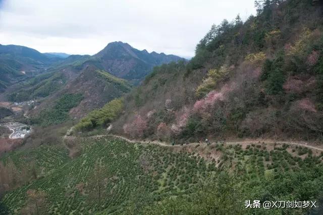 歙旌古道徒步回起点,上海徽杭古道徒步攻略