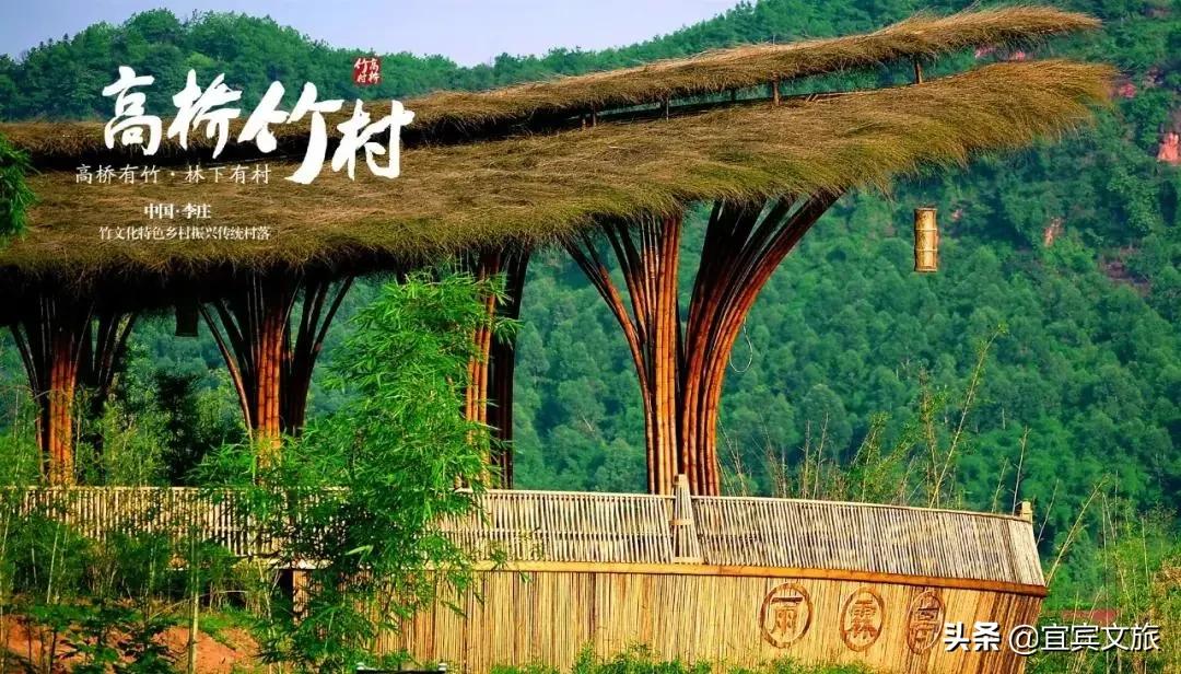 国内赏竹,中国人赏竹