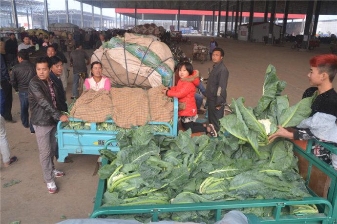 一个创业失败的人怎么赚钱,一个创业失败负债者生活日常分享