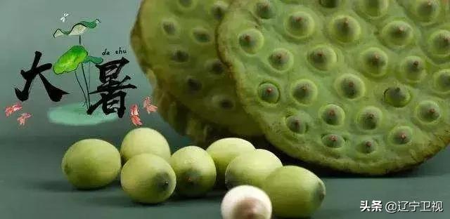 酷暑知了声声入耳,大暑知了叫