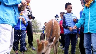 元旦乌兰布统跟团游3天2夜,厦门自由行6天5晚亲子游跟团
