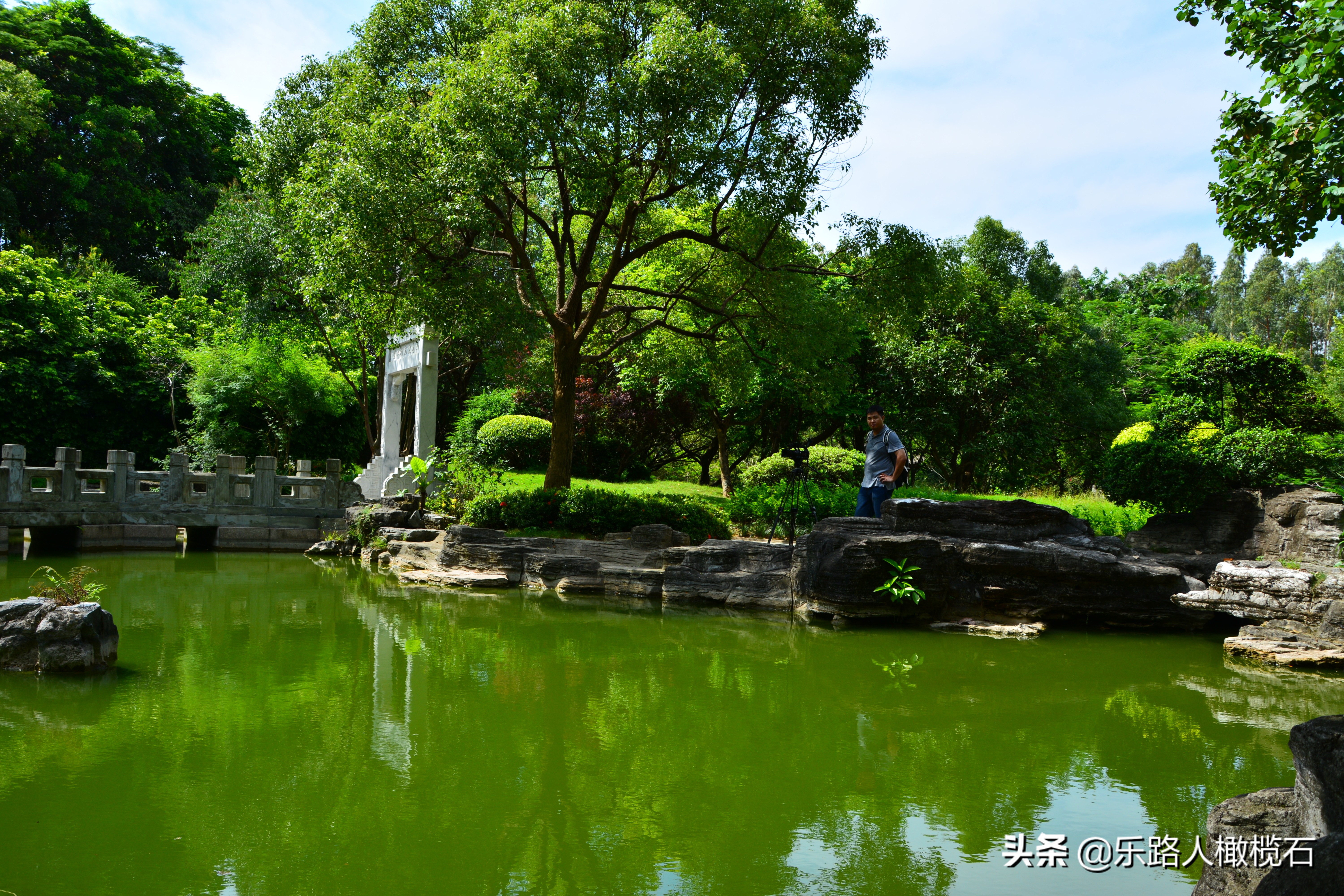 深圳园博园有什么好玩的,深圳园博园旅游指南