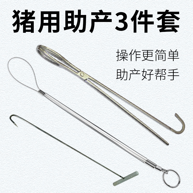 手把手教你给母猪授精,母猪人工助产全过程