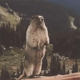 姑娘，你知道你和女神之间差的到底是什么？