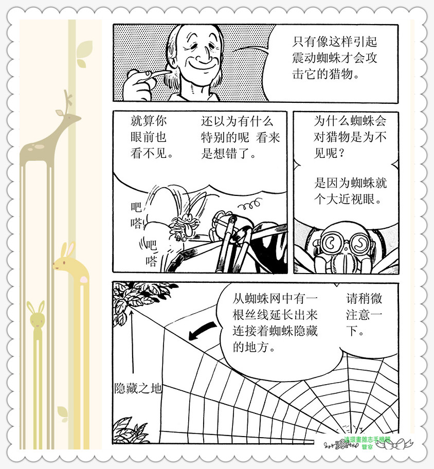 昆虫记法布尔动画片,昆虫记法布尔全套