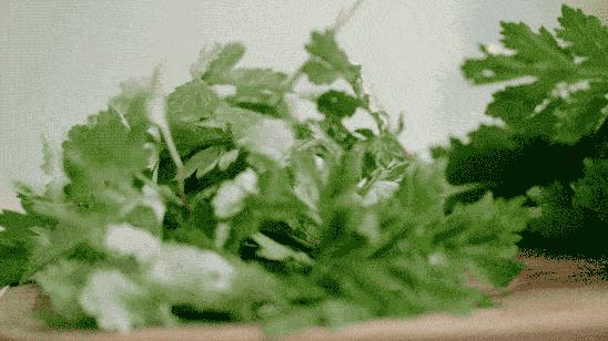 网红青团哪个味道最好,网红青团怎么弄