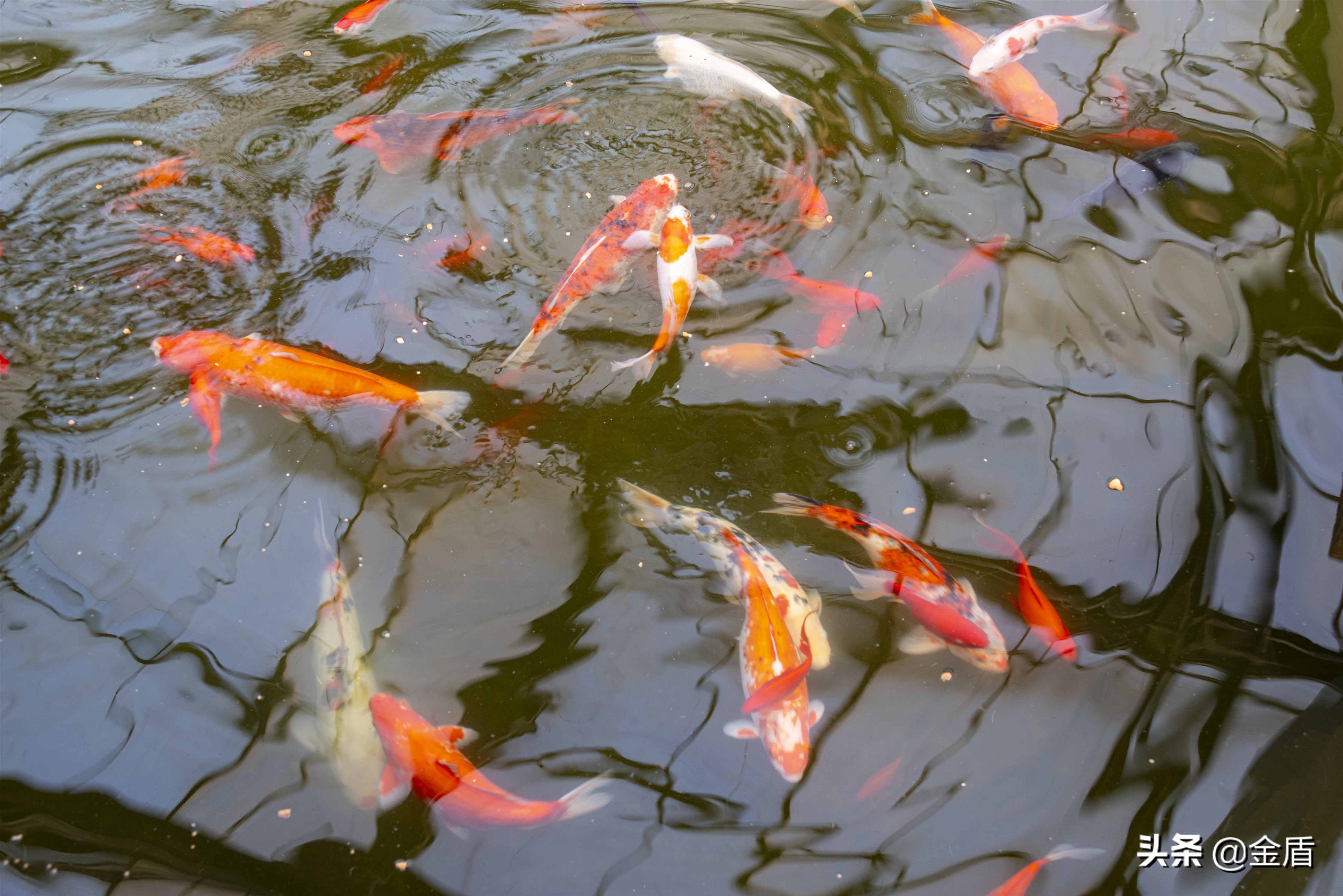 九天休闲谷附近景点大全,九天休闲谷一日游玩