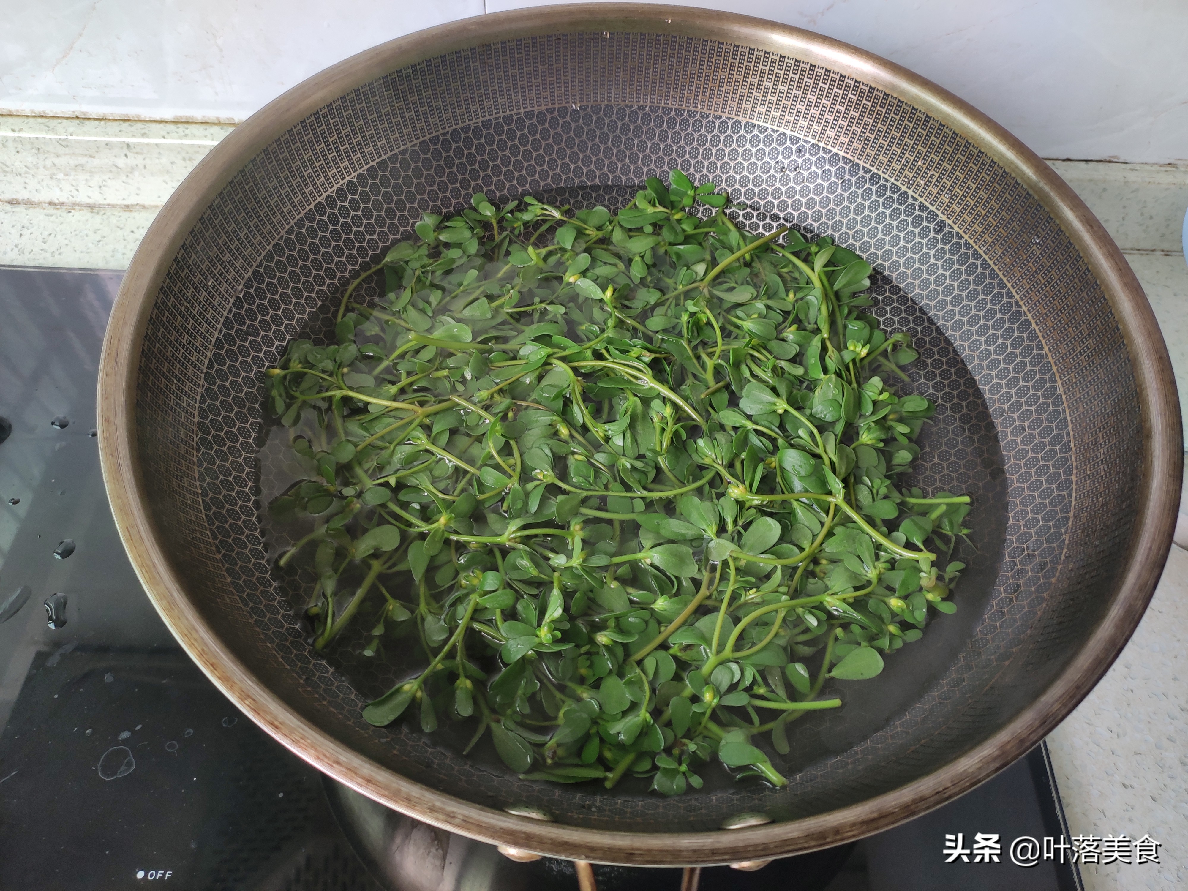 马齿苋怎么做好吃又简单,干马齿苋怎么做又好吃又简单