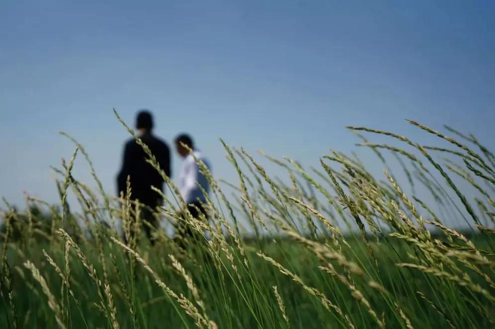 繁华的北大仓，可以证明那些没有墓碑的爱情和生命