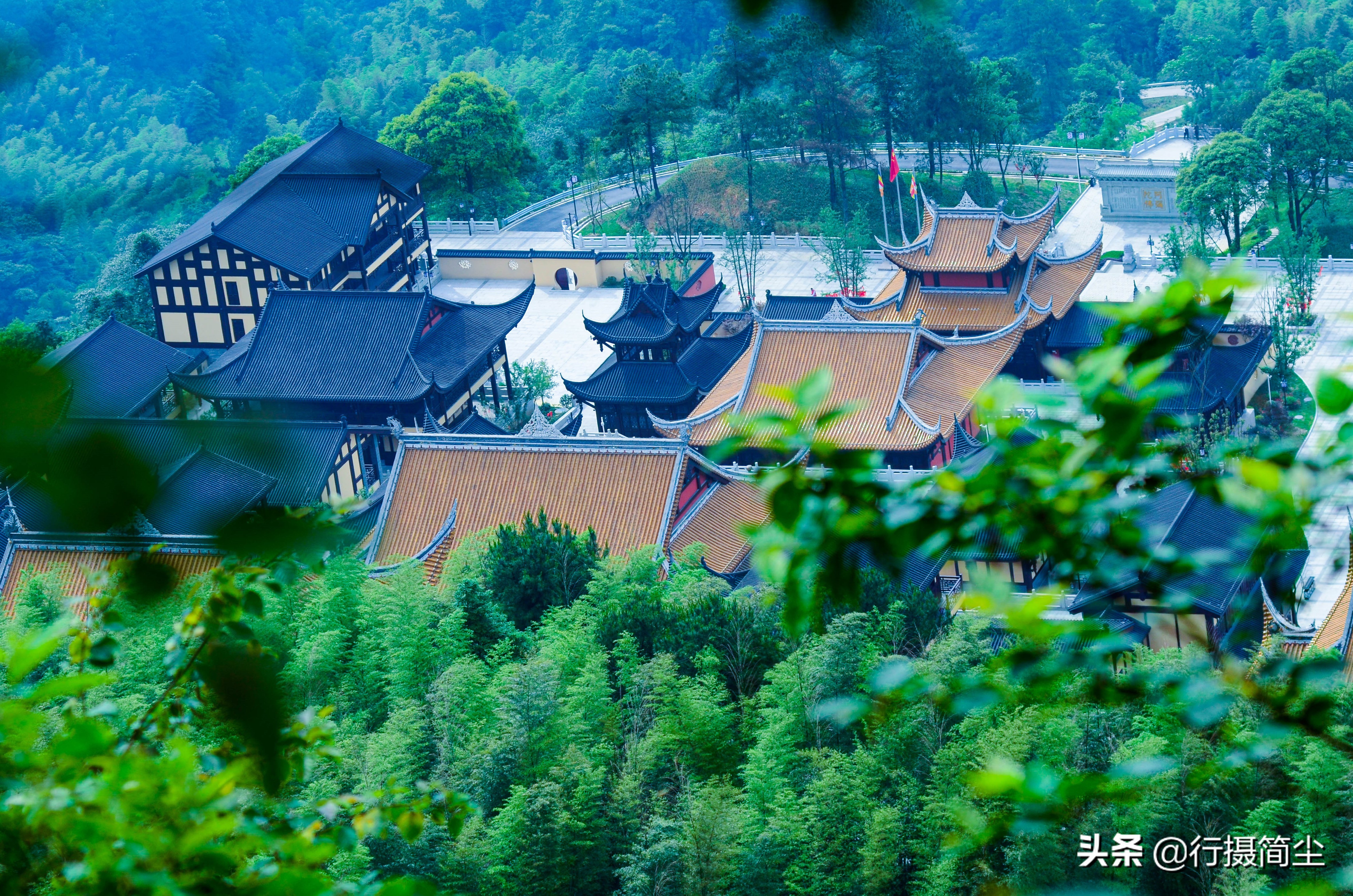永川茶山竹海，茶山含情，竹海溢笑