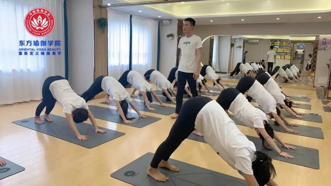 零基础学瑜伽学院,东方瑜伽学院太极瑜伽