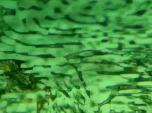 俄罗斯祖母绿是骗人的吗,俄罗斯祖母绿值得购买吗