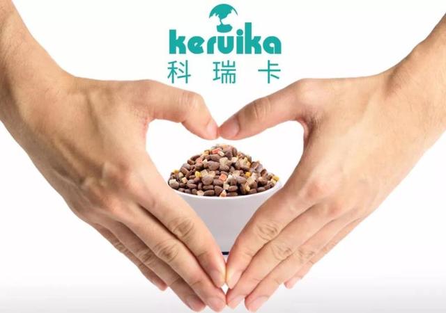 博美在换毛时该如何护理？「科瑞卡科普」