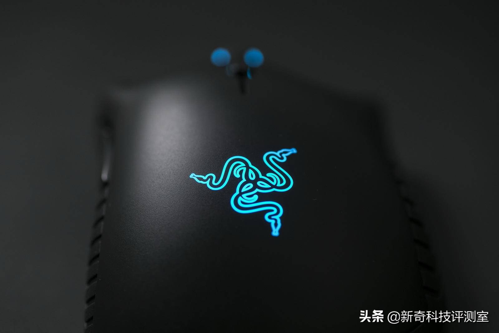 雷蛇曼巴眼镜蛇5g怎么样,真香警告电影完整版免费