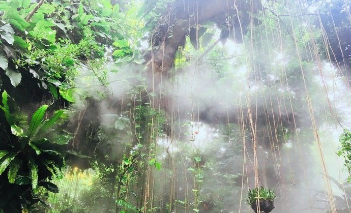 这个夏天一定要去趟厦门,夏天去厦门值得去吗