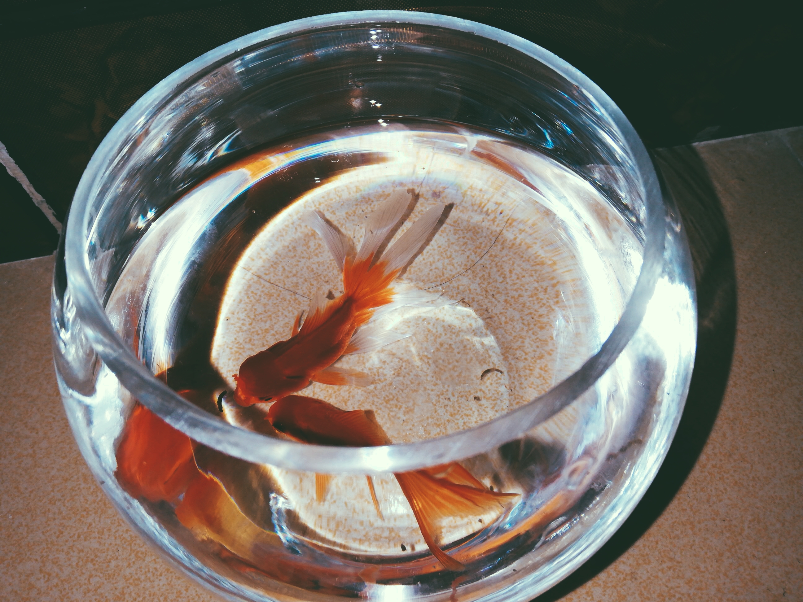 怎么让拍出来的照片更好看软件,用什么软件拍出来的照片很好看