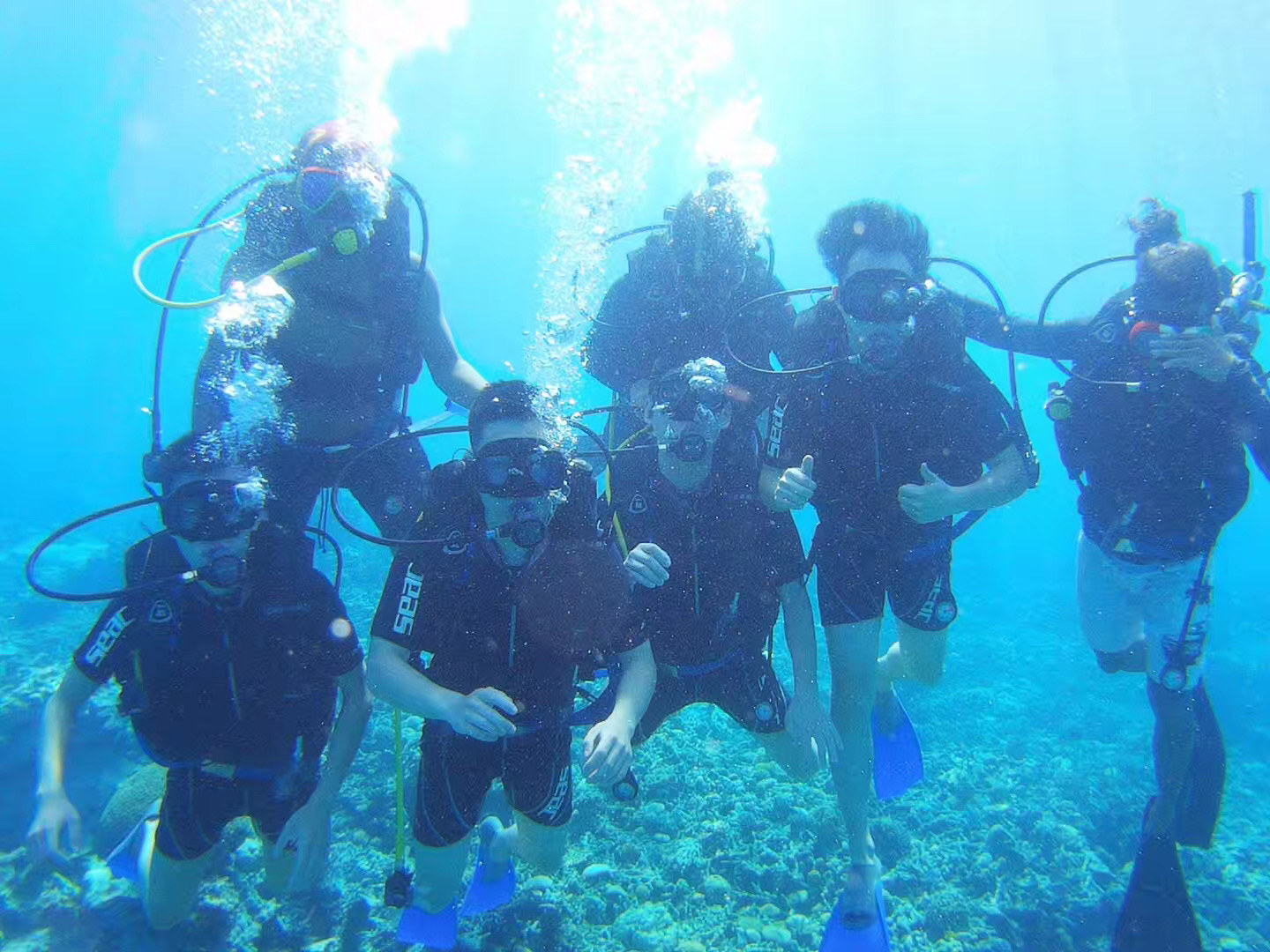 马来西亚乳胶值得买吗,马来西亚乳胶