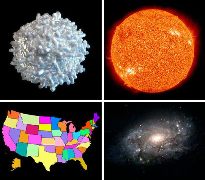盘点19个你可能不知道的科学“冷知识”