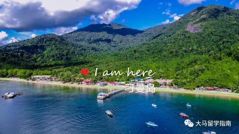 大马公立名校系列!在森林城市旁的高等学府,购物潜水超方便