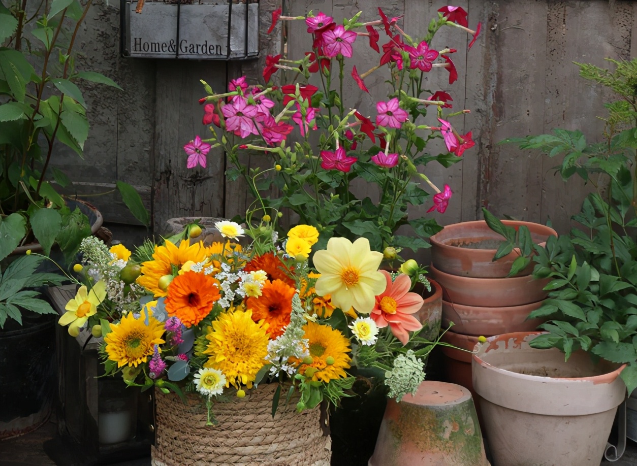 农场盈利新模式,投资万亩农场真实案例