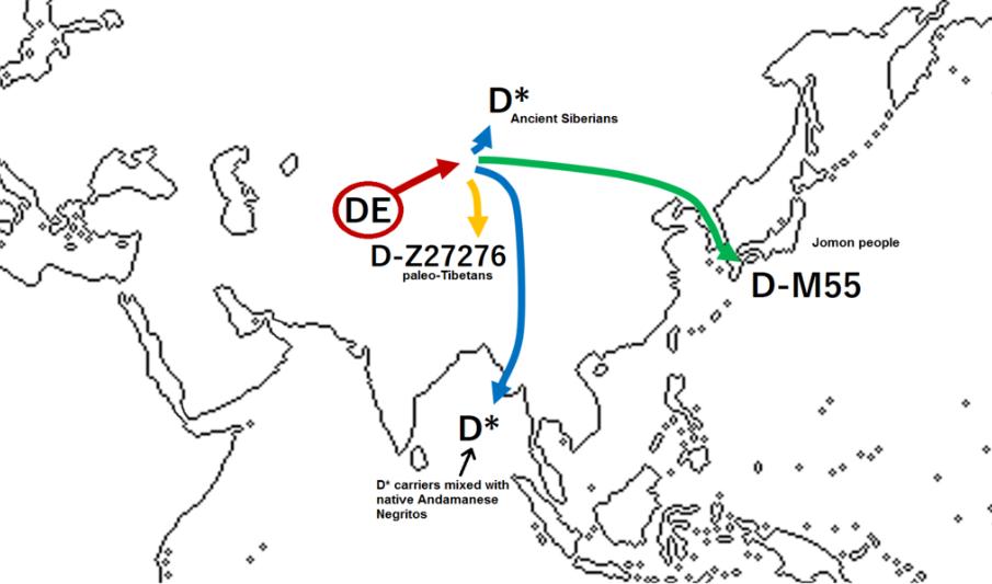 日本人有没有中华民族的基因,日本和西南少数民族渊源