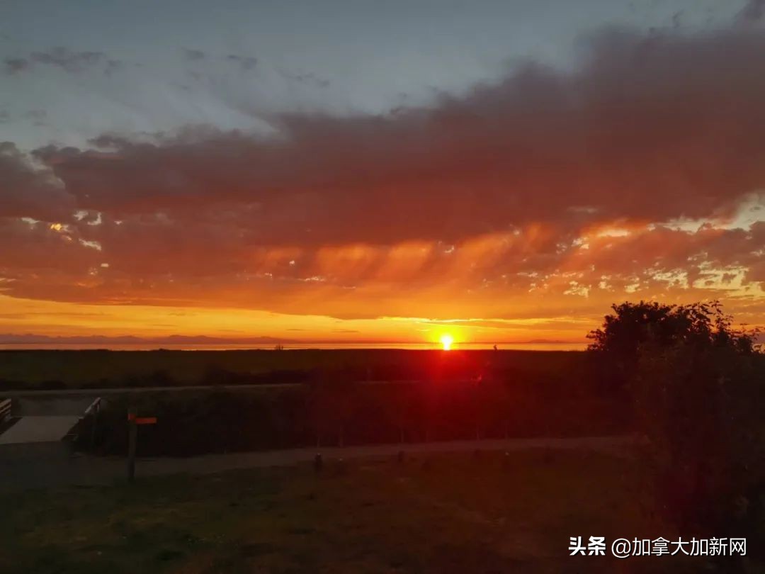 温哥华现最美晚霞+闪电温村秒变梦幻魔法城