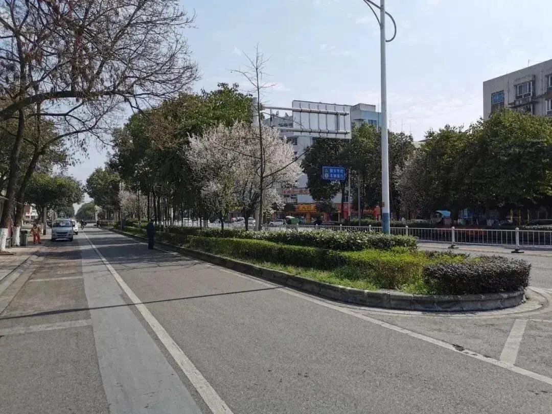 “10000+20”城市道路“微整形”，守护安全出行！