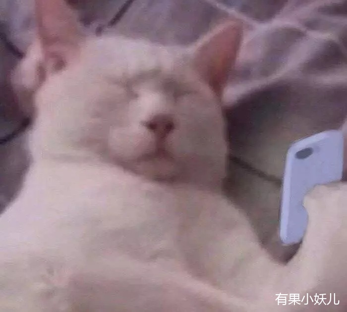 宅家指南消除无聊的最好办法是,宅家无聊看什么