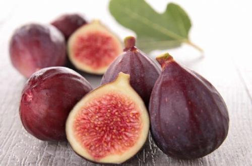 无花果树如何养殖,无花果树怎么养殖