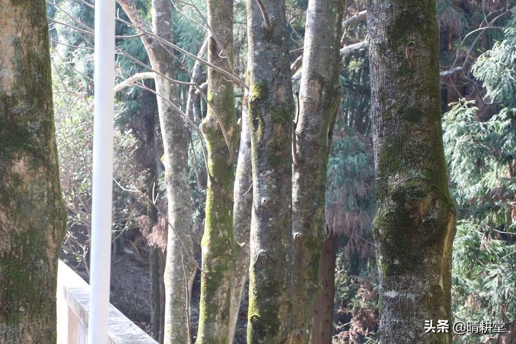 赣州峰山附近一日游自驾游景点,赣州峰山美景