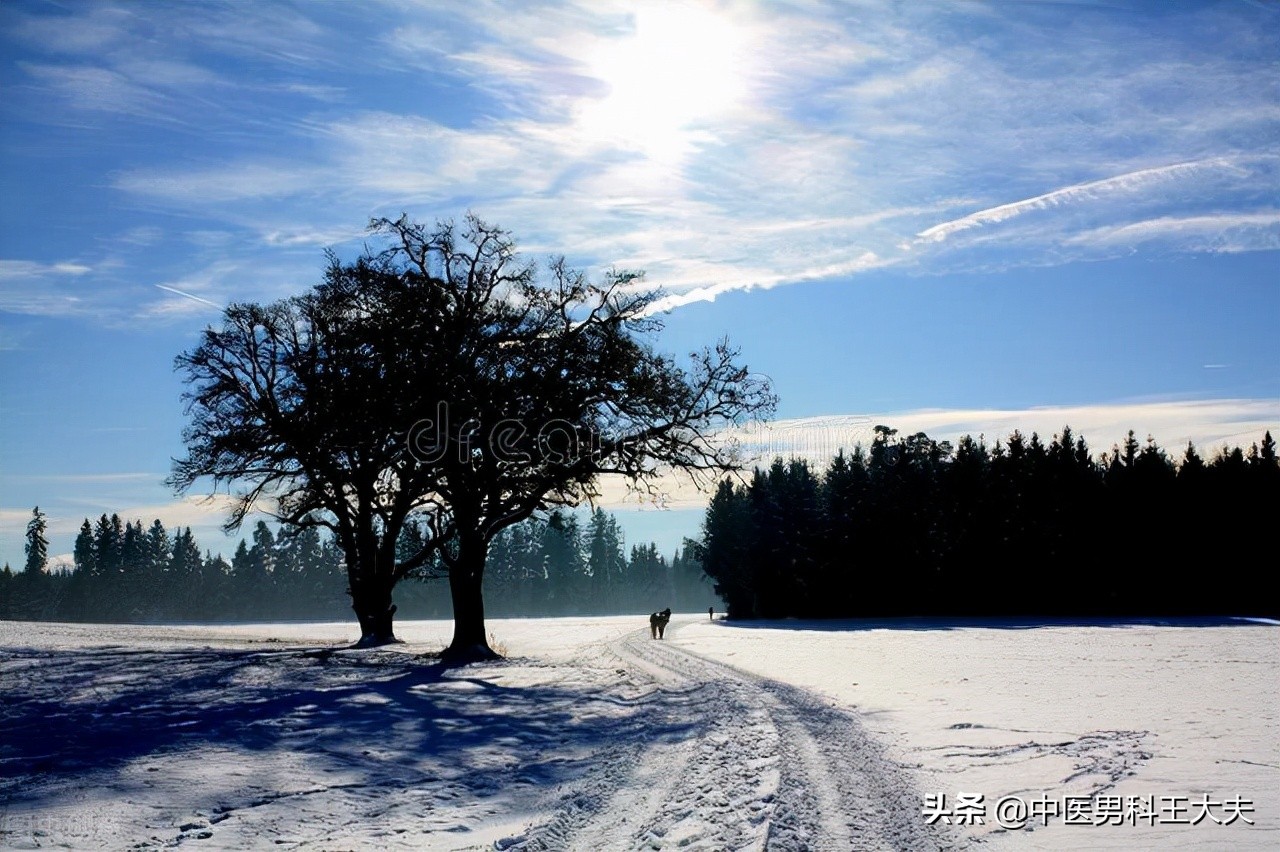 湿热淤堵引起的腰膝酸软,湿热下注肾气不足精关不固吃什么