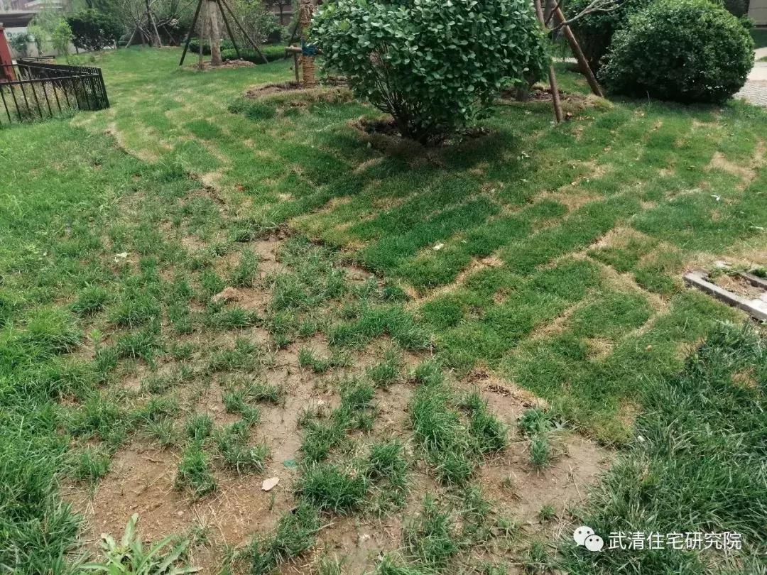 武清南湖片区房子值得投资吗,武清南湖地铁五号线规划图