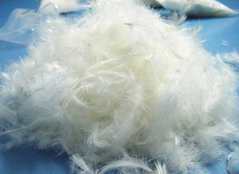 羽绒被选购标准,羽绒被怎么挑选质量才是最好的呢