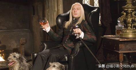 哈利波特男巫隐藏头发,哈利波特亲世代