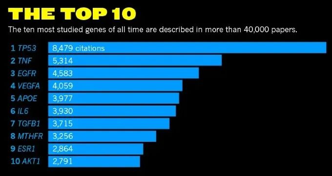 顾伟实验室解析p53抑癌功能的终极*器武**——铁死亡和mTOR